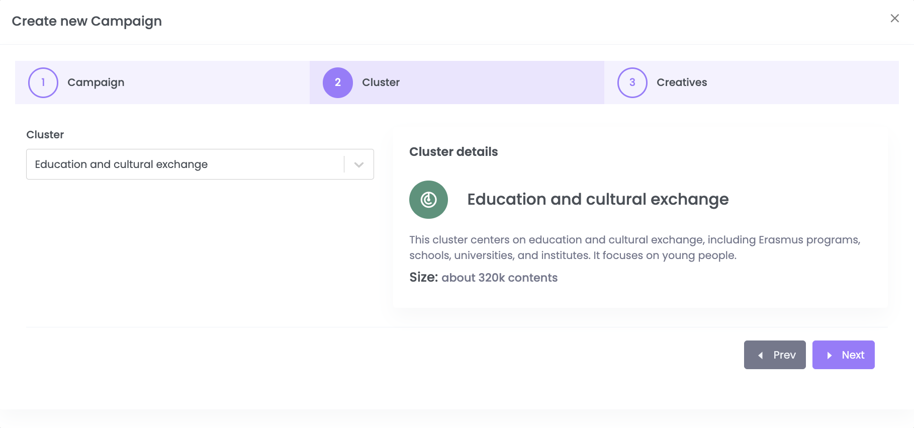 Attaching a topic cluster to a campaign, with its description and the number of matching articles